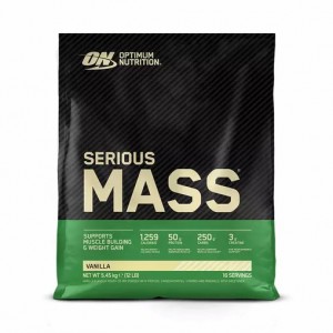 Optimum Nutrition Serious Mass Gainer Vanilla 5.45 kg (16 Servings) Türkiye | 576289UEM